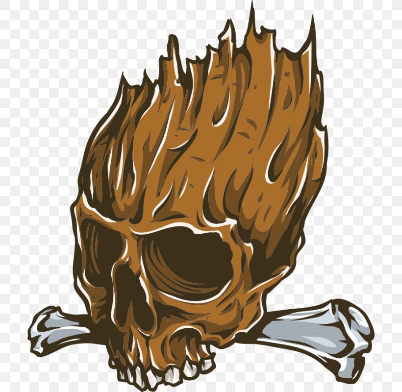Skull Illustration Vector Graphics Image Flame, PNG, 800x800px, Skull, Advertising, Bone, Creative Work, Fictional Character Download Free