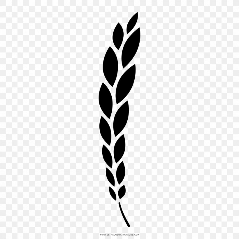 Coloring Book Drawing Wheat Branch, PNG, 1000x1000px, Coloring Book, Ausmalbild, Barley, Bay Laurel, Black And White Download Free