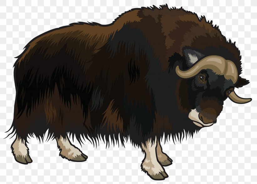 Domestic Yak Clip Art, PNG, 4000x2865px, Domestic Yak, African Buffalo, African Forest Buffalo, Bison, Bull Download Free