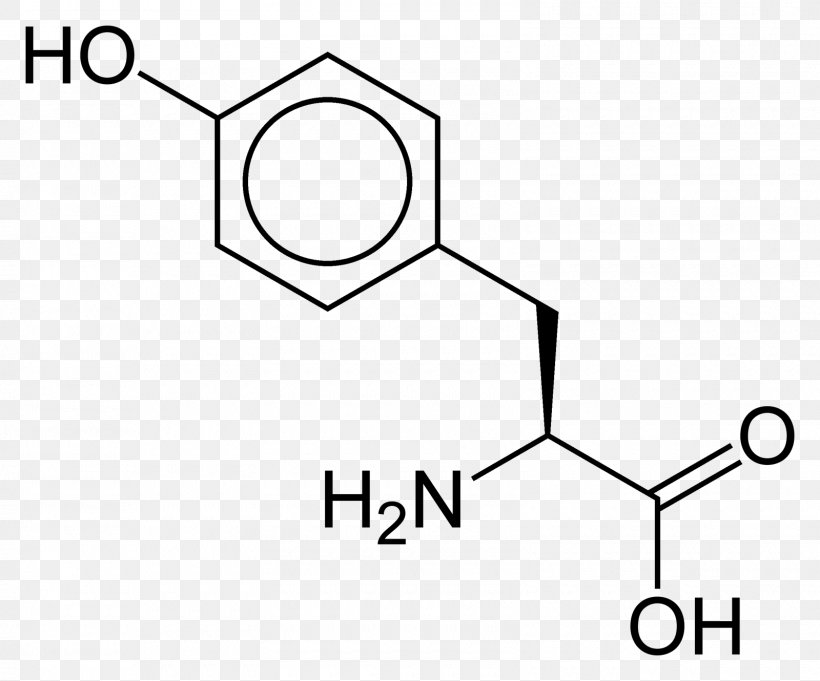 Lysine Amino Acid Isoleucine Glutamic Acid, PNG, 1600x1330px, Lysine, Acid, Alanine, Amine, Amino Acid Download Free