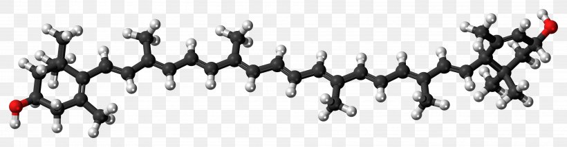 Monomer Fatty Acid Nucleic Acid Steroid Hormone, PNG, 3823x1000px, Monomer, Acid, Black, Black And White, Fatty Acid Download Free