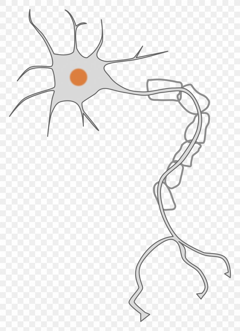 Neuron Nervous System Cell Clip Art, PNG, 1736x2400px, Watercolor, Cartoon, Flower, Frame, Heart Download Free