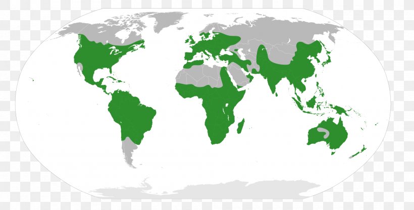 World Map Globe, PNG, 2000x1015px, World, Area, Atlas, Globe, Grass Download Free