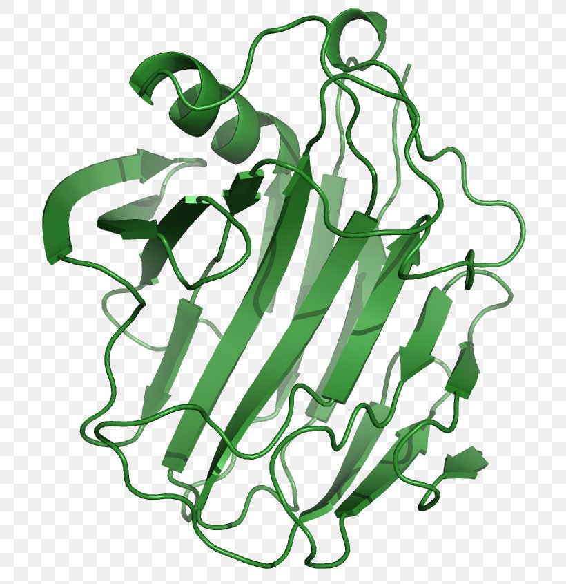 Cellulase Enzyme Cellulose Protease Amylase, PNG, 752x845px, Cellulase, Alphaamylase, Amylase, Area, Bacteria Download Free