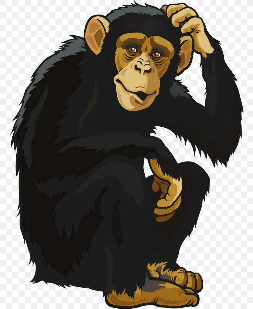 Chimpanzee Ape Clip Art Vector Graphics, PNG, 759x1000px, Chimpanzee, Ape, Cartoon, Common Chimpanzee, Gorilla Download Free