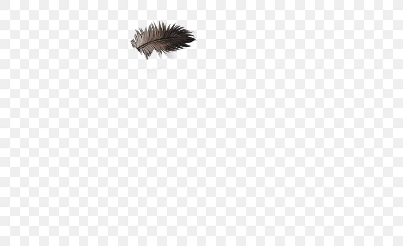 Feather Wing Animal, PNG, 640x500px, Feather, Animal, Black, Wing Download Free
