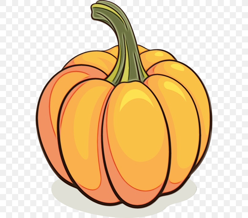 Pumpkin, PNG, 584x719px, Watercolor, Bell Pepper, Calabaza, Cucurbita, Food Download Free