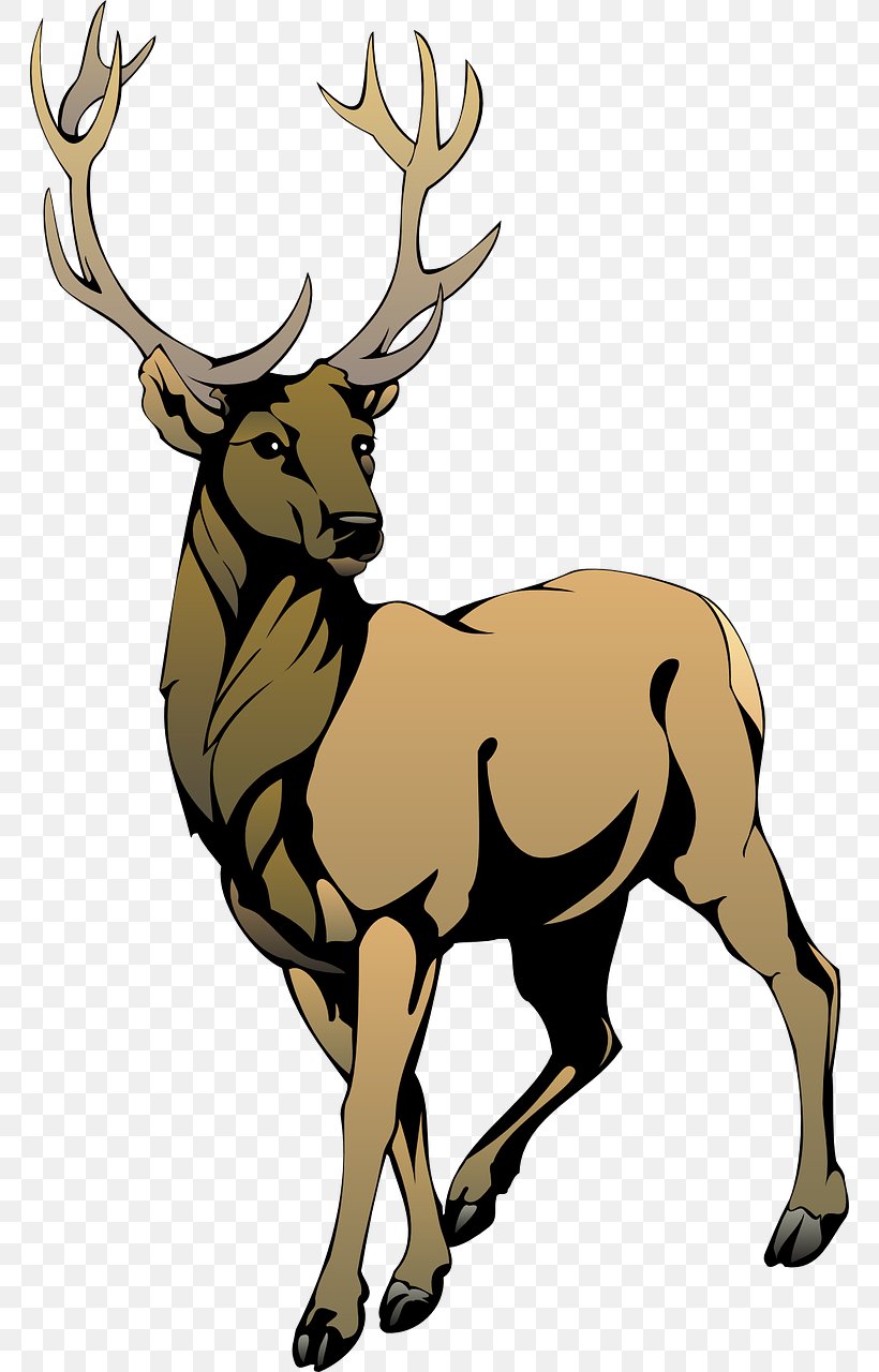 Red Deer Clip Art, PNG, 764x1280px, Deer, Antler, Art, Drawing, Elk Download Free