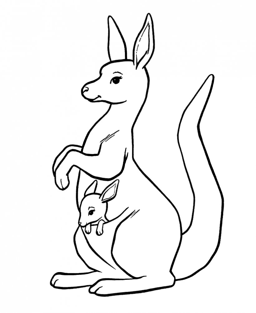 Tree-kangaroo Red Kangaroo Coloring Book Eastern Grey Kangaroo, PNG, 826x1010px, Treekangaroo, Animal Figure, Black And White, Carnivoran, Child Download Free