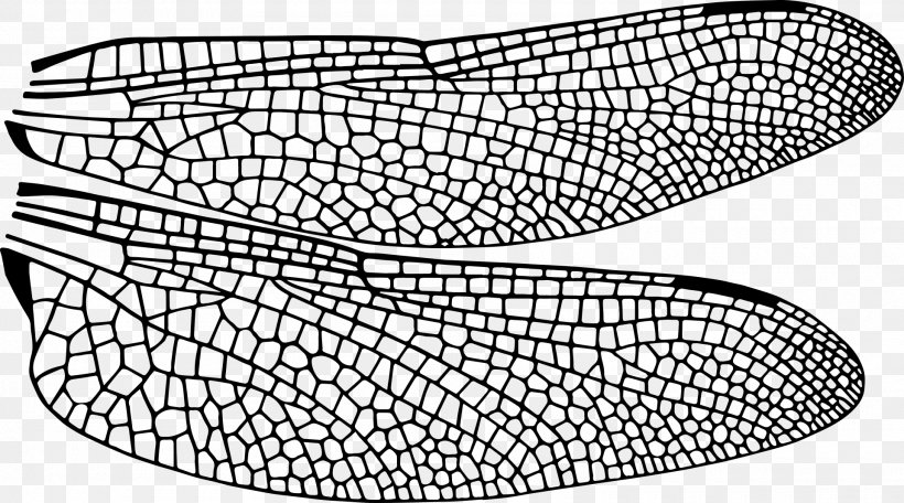 Beetle Insect Wing Dragonfly Drawing, PNG, 1920x1070px, Beetle, Animal, Area, Black And White, Brown Marmorated Stink Bug Download Free