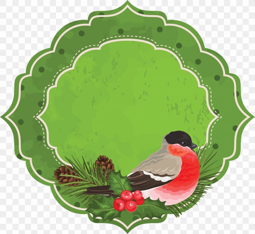 Old New Year Szczedriwka Holiday Malanka, PNG, 6988x6423px, Old New Year, Animation, Aquifoliaceae, Beak, Bird Download Free