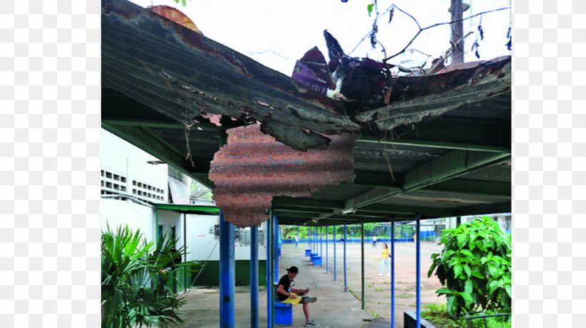 Property Roof School Education Family, PNG, 1011x568px, Property, Canopy, Confederation, Criticism, Education Download Free