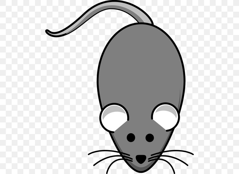 Rat Line Art Clip Art, PNG, 510x597px, Rat, Animal, Artwork, Black, Black And White Download Free