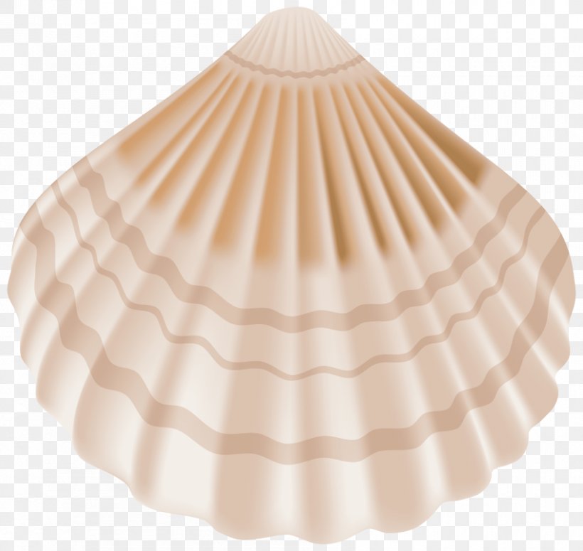 Seashell Clip Art Image Transparency, PNG, 850x804px, Seashell, Beige, Bivalve, Caracola, Clam Download Free