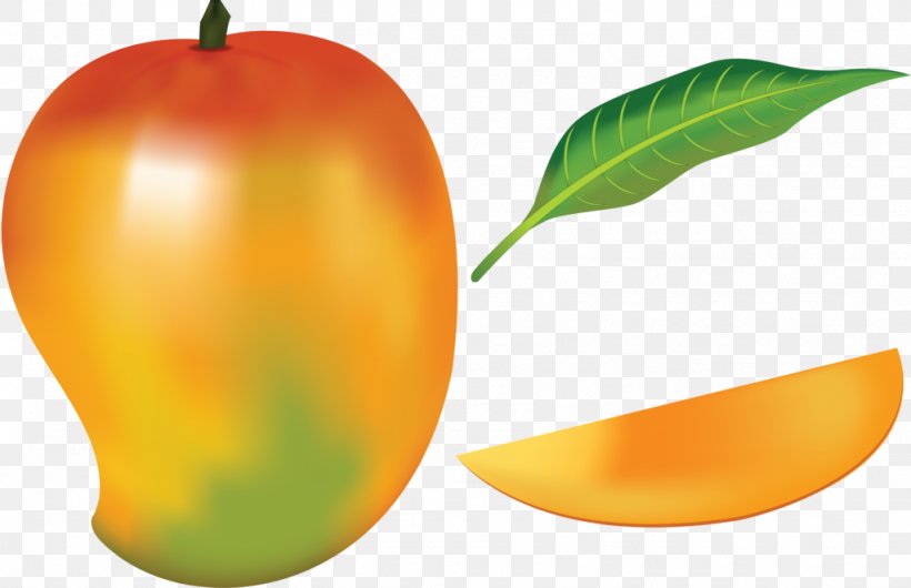 Mango Fruit Drawing Clip Art, PNG, 1024x662px, Mango, Anacardiaceae, Apple, Art, Bell Peppers And Chili Peppers Download Free