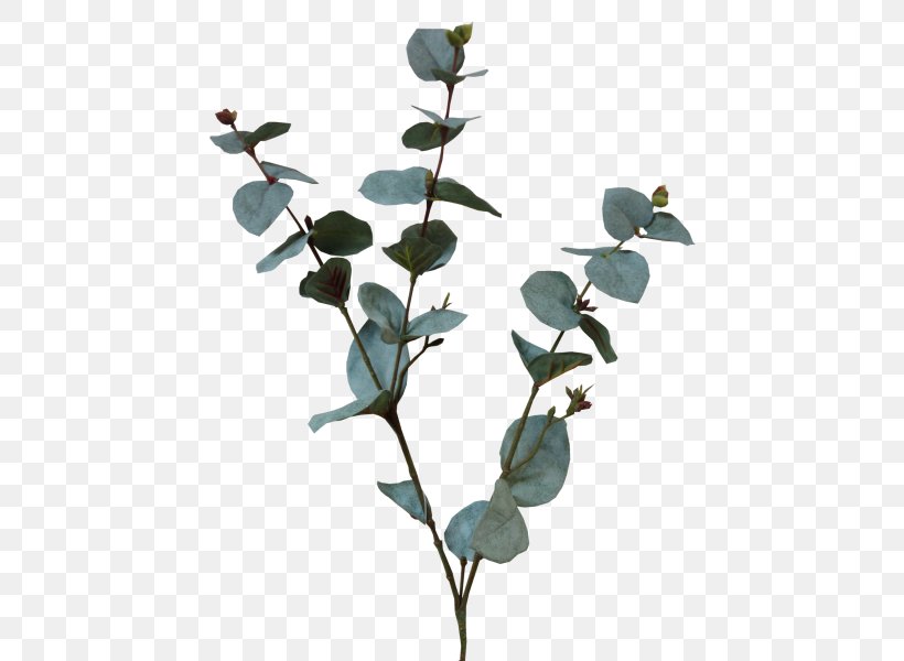 Plant Stem Artificial Flower Leaf Tree, PNG, 800x600px, Plant, Artificial Flower, Branch, Flower, Flower Bouquet Download Free
