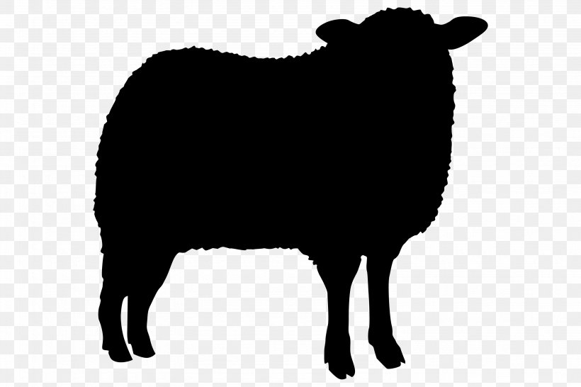 Sheep Agneau Cat Clip Art, PNG, 3172x2115px, Sheep, Agneau, Animal, Black, Black And White Download Free