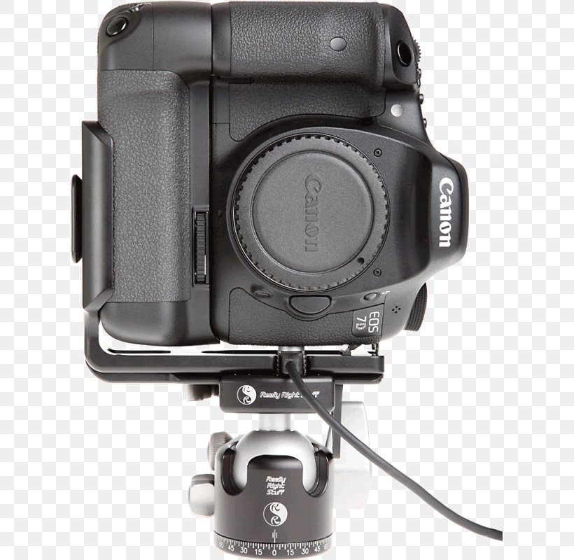 Digital SLR Camera Lens Single-lens Reflex Camera Lens Cover Mirrorless Interchangeable-lens Camera, PNG, 800x800px, Digital Slr, Camera, Camera Accessory, Camera Lens, Cameras Optics Download Free