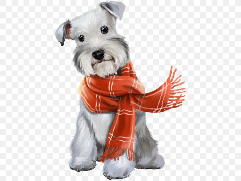 Miniature Schnauzer Puppy Maltese Dog Clip Art, PNG, 452x616px, Miniature Schnauzer, Animal, Carnivoran, Companion Dog, Dog Download Free