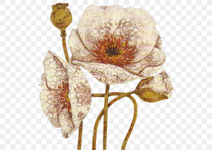 Opium Poppy Flower Painting Clip Art, PNG, 554x582px, Opium Poppy, Art, Auglis, Cut Flowers, Flora Download Free