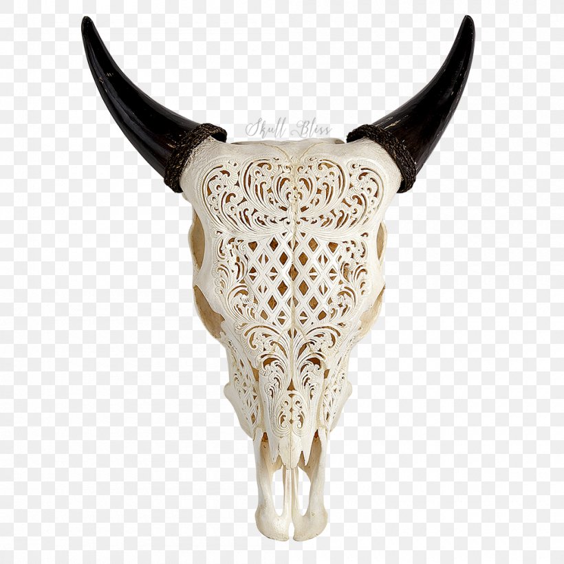 Texas Longhorn Skull Aurochs Wall Decal, PNG, 1000x1000px, Texas Longhorn, Aurochs, Barbed Wire, Bone, Bull Download Free