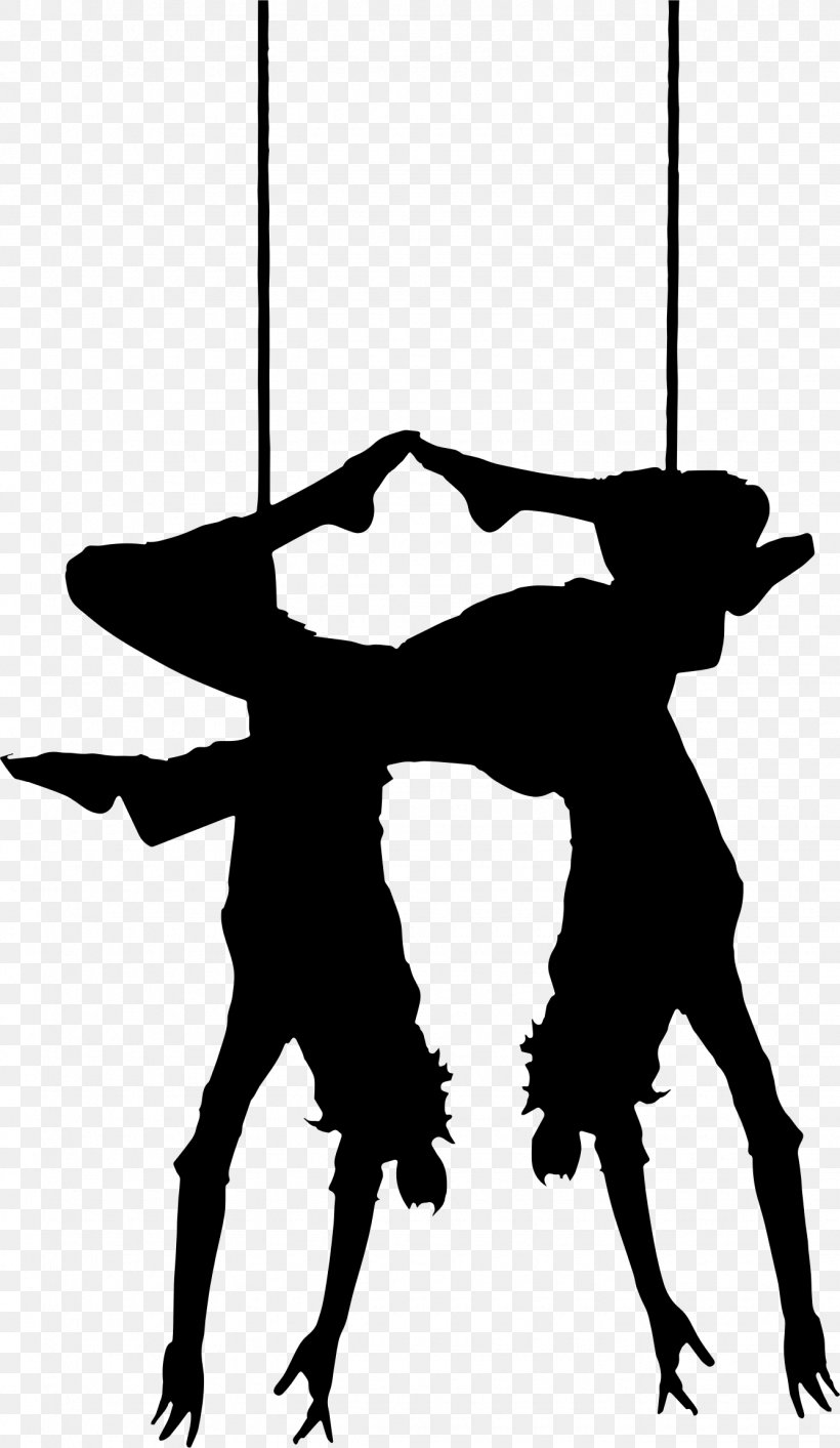 Circus Trapeze Artist, PNG, 1335x2302px, Circus, Aerial Silk, Art, Artist, Black And White Download Free