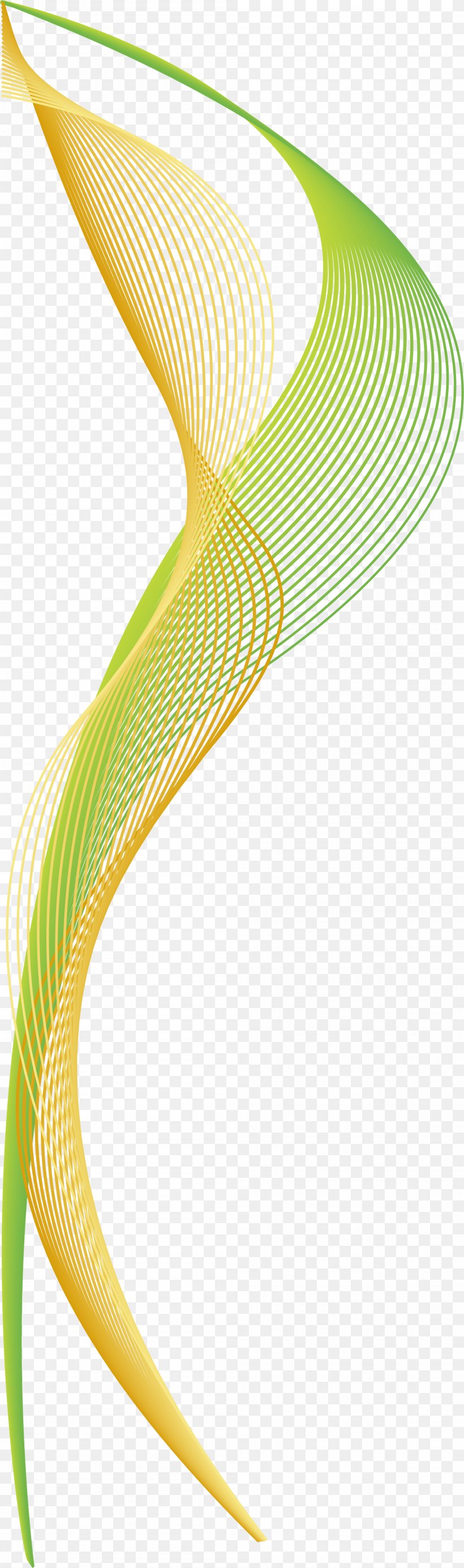 Curve Green Euclidean Vector Arc, PNG, 2000x6755px, Curve, Arc, Color, Gratis, Green Download Free
