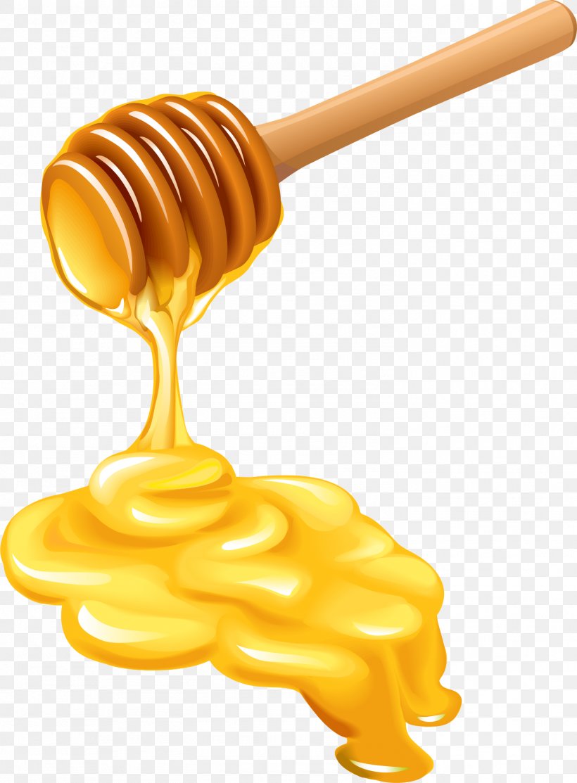 Honey Bee Honey Bee Honeycomb, PNG, 1501x2038px, Bee, Food, Honey, Honey Bee, Honeycomb Download Free