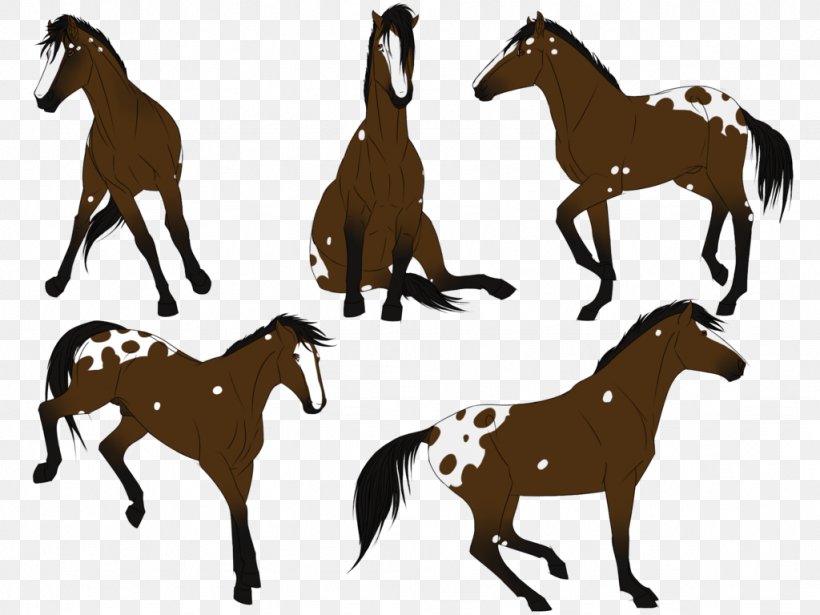 Mustang Foal Mare Stallion Colt, PNG, 1024x768px, Mustang, Animal Figure, Bridle, Colt, English Riding Download Free