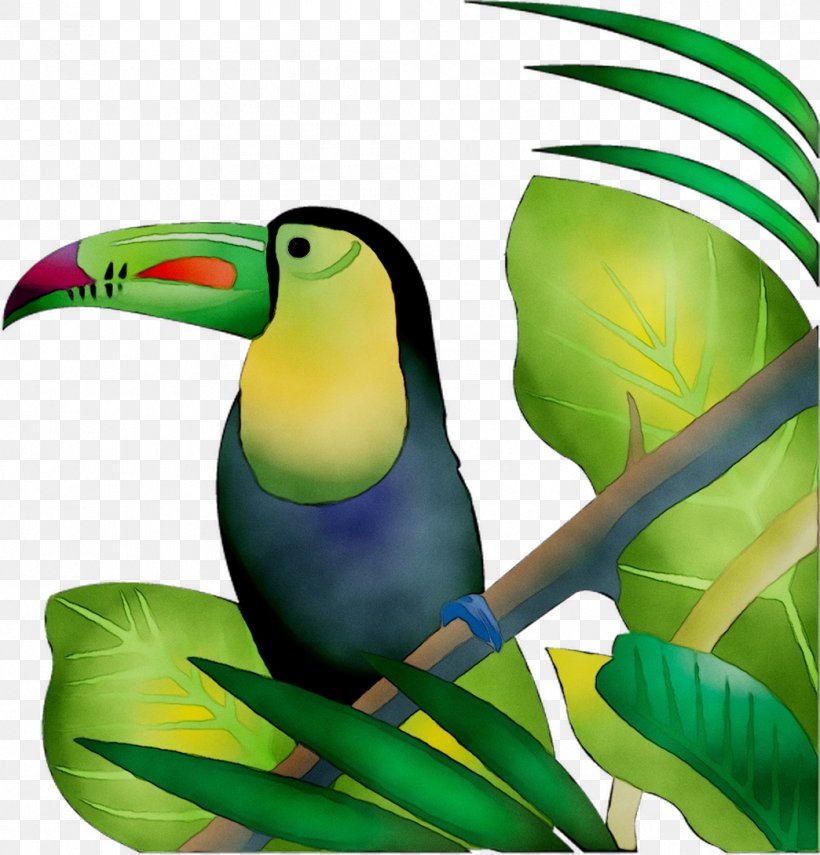 Toucan Clip Art Parrot Illustration Graphics, PNG, 1044x1089px, Toucan, Beak, Biology, Bird, Fauna Download Free