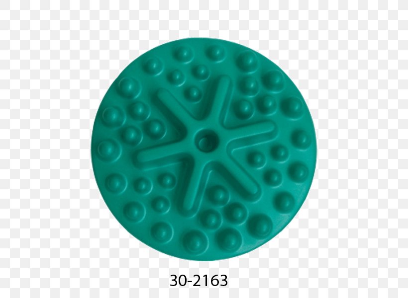 Turquoise Circle Diameter Organism, PNG, 600x600px, Turquoise, Aqua, Diameter, Green, Organism Download Free