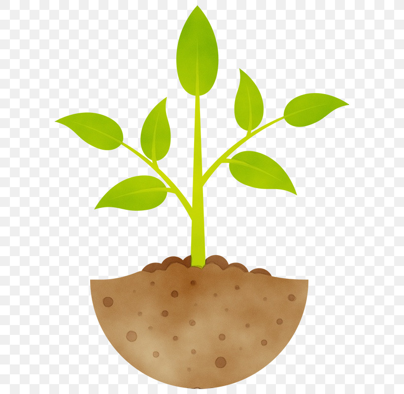 Cartoon Seedling Flowerpot Plant Development Sowing, PNG, 622x800px, Watercolor, Cartoon, Flowerpot, Houseplant, Leaf Download Free