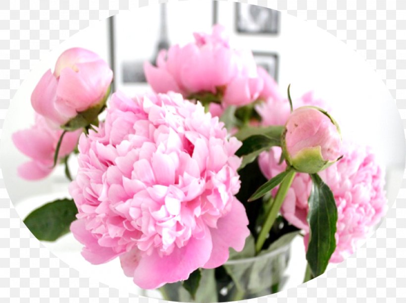 Cut Flowers Floristry Floral Design Plant, PNG, 982x732px, Cut Flowers, Annual Plant, Artificial Flower, Carnation, Centifolia Roses Download Free