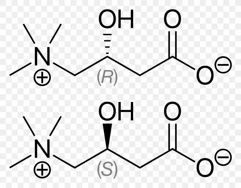 Levocarnitine Fatty Acid Bindii Acetylcarnitine Chemical Compound, PNG, 1200x935px, Levocarnitine, Acetylcarnitine, Acid, Acyl Group, Area Download Free