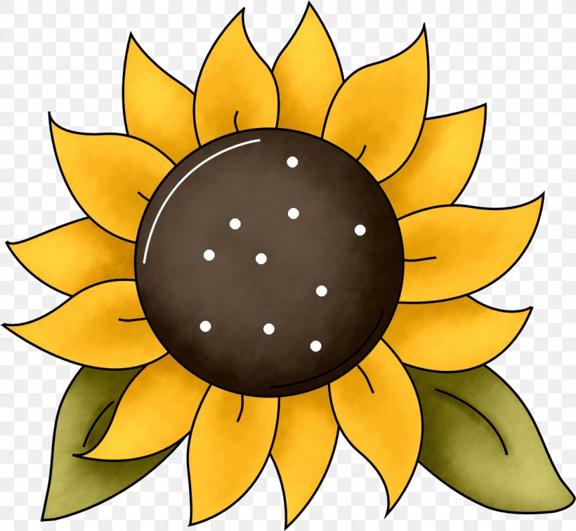 Common Sunflower Template Clip Art, PNG, 1106x1021px, Common Sunflower, Daisy Family, Document, Drawing, Flower Download Free
