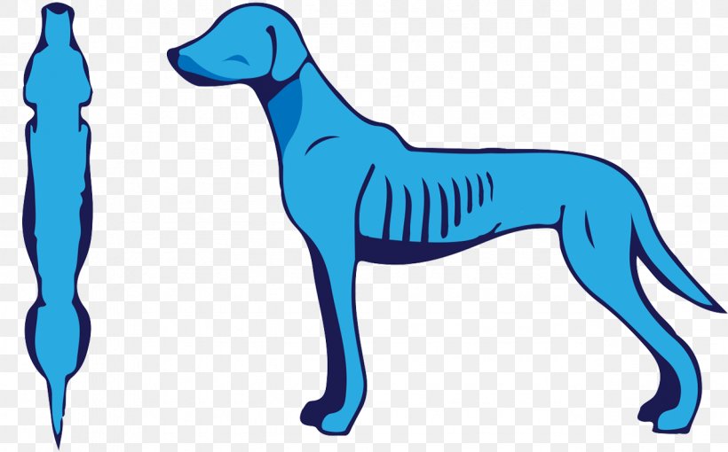 Dog Breed Italian Greyhound Nutrition Pet, PNG, 1278x795px, Dog Breed, Breed, Carnivoran, Diet, Dog Download Free