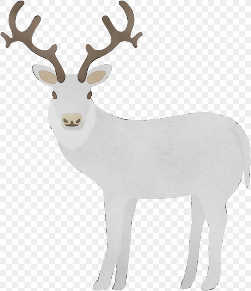 Reindeer, PNG, 888x1028px, Watercolor, Animal Figure, Antler, Deer, Elk Download Free