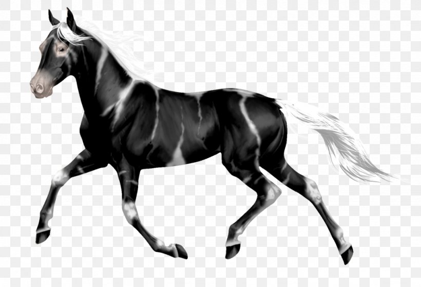 Mustang Stallion Mare Wild Horse Rein, PNG, 1024x698px, Mustang, Art, Bit, Black, Black And White Download Free