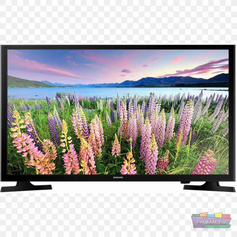 Samsung J5270 Samsung J5200 LED-backlit LCD Smart TV, PNG, 1000x1000px, 4k Resolution, Samsung J5200, Flora, Flower, Grass Download Free