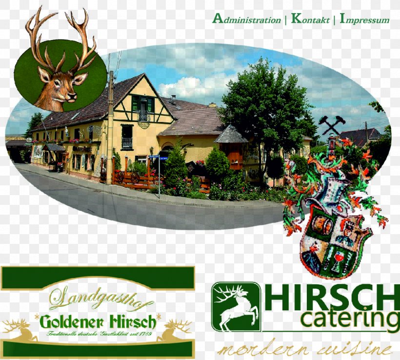 Hotel Goldener Hirsch Restaurant Goldener Hirsch Inn, PNG, 1000x900px, Hotel, Brand, Cheap, Christmas Ornament, Holiday Download Free