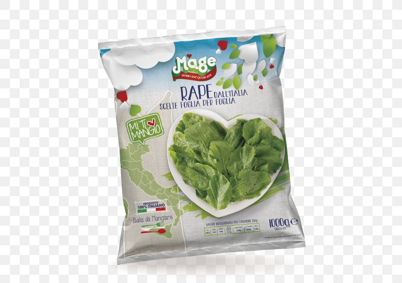 Romaine Lettuce Associazione Di Produttori Promarche Vegetable Business, PNG, 530x577px, Romaine Lettuce, Business, Contract Manufacturer, Endive, Food Download Free