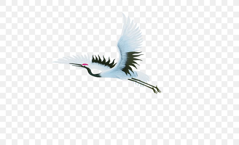 Flying Red-crowned Crane, PNG, 700x500px, Bird, Animal, Beak, Crane, Feather Download Free