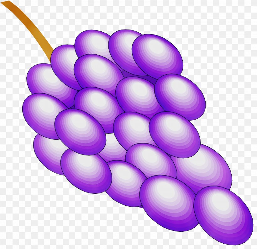 Grape Grapevine Family Violet Purple Fruit, PNG, 3000x2903px, Watercolor, Food, Fruit, Grape, Grapevine Family Download Free