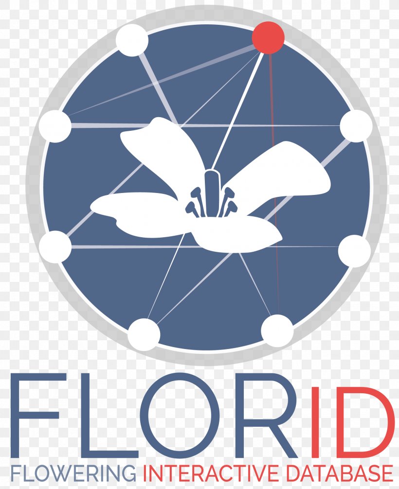 Message Florida Politics Mobile Phones, PNG, 1864x2288px, Message, Android, Area, Brand, Computer Network Download Free