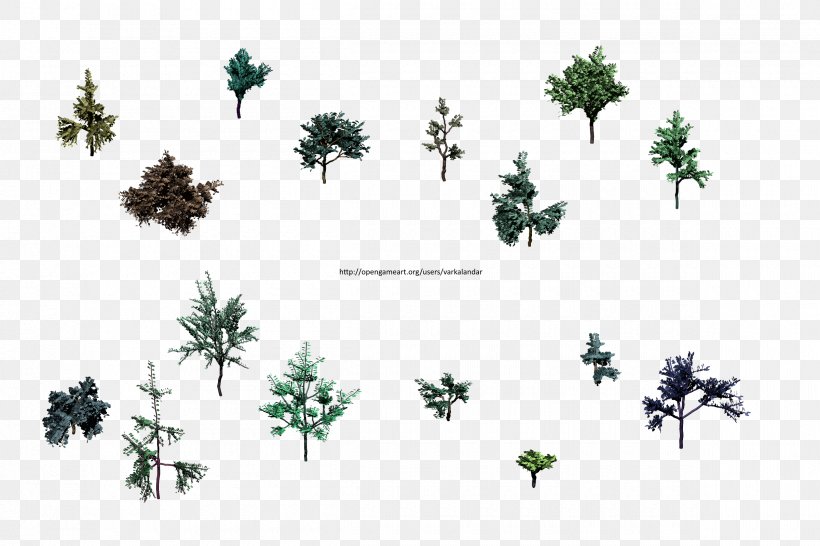 Pine Evergreen Leaf Flowering Plant Font, PNG, 2400x1600px, Pine, Branch, Branching, Conifer, Evergreen Download Free