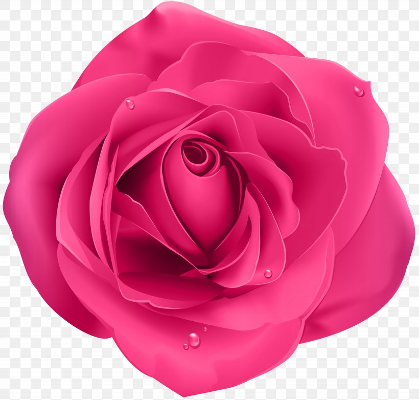 Rose Clip Art, PNG, 8000x7635px, Rose, Blue Rose, China Rose, Close Up, Cut Flowers Download Free