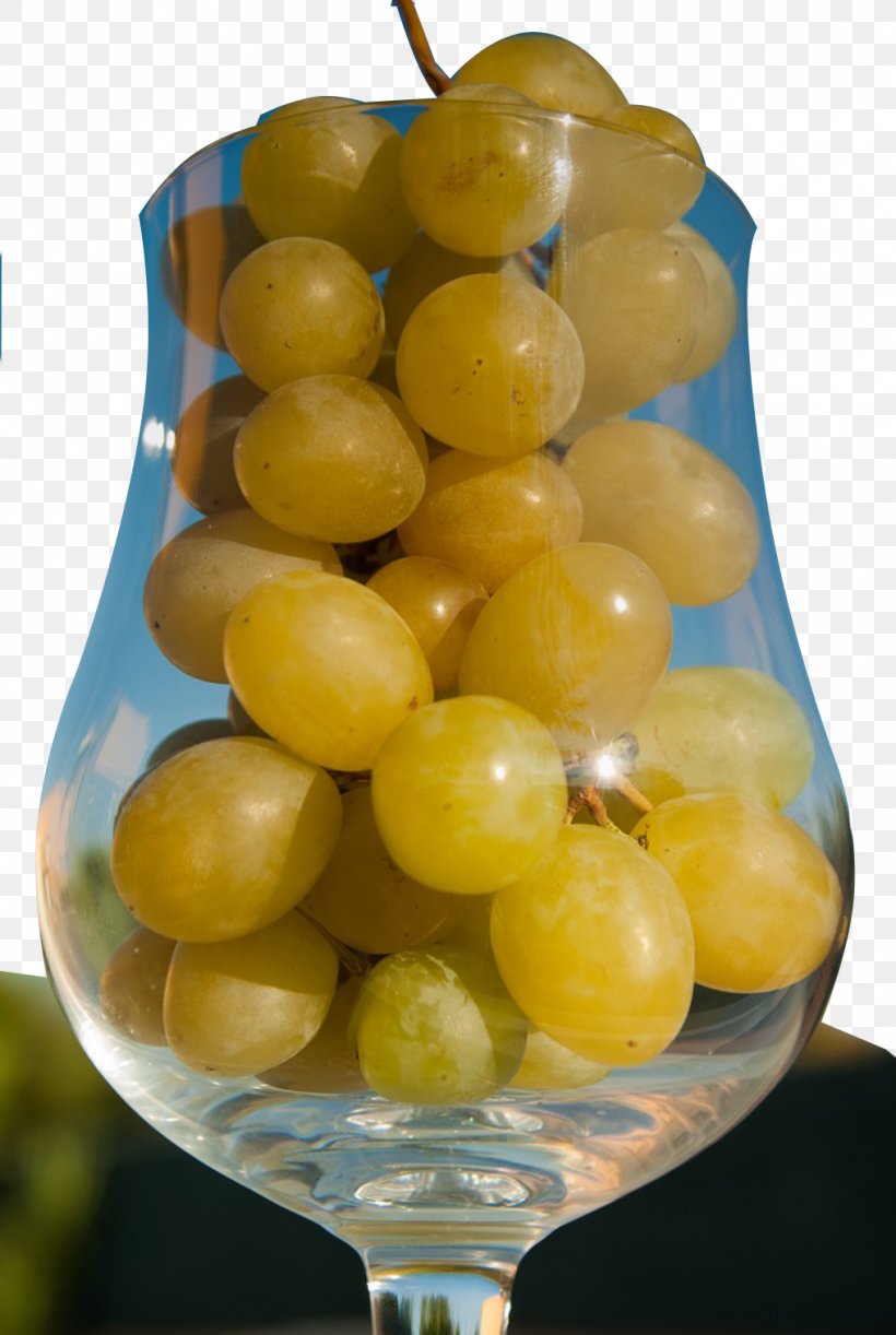White Wine Grape Harvest, PNG, 1016x1515px, White Wine, Citrus, Food, Fruit, Grape Download Free