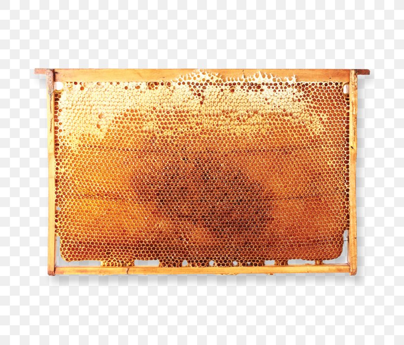 Beekeeper Honeycomb Hive Frame, PNG, 700x700px, Bee, Beekeeper, Comb Honey, Hive Frame, Honey Download Free
