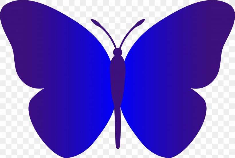 Butterfly Black And White Free Content Clip Art, PNG, 5381x3614px, Butterfly, Black, Black And White, Black Butterfly, Blue Download Free