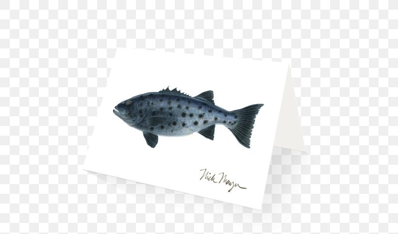 Fin Fish, PNG, 600x483px, Fin, Fish, Organism, Seafood Download Free